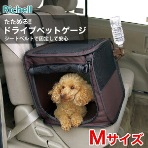 yLINEǉ500~OFFIzb`F ߂hCuybgP[W MTCY hCu ł 4973655564417 #w-153078 hЃZbg