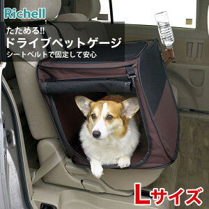 yLINEǉ500~OFFIzb`F ߂hCuybgP[W LTCY 4973655564516 #w-153079 hЃZbg