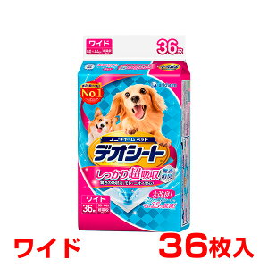 yő400~OFFN[|v擾&LINEǉ500~OFFIzfIV[g 蒴z L^Cv Ch 36 / 4520699670354 #w-155133