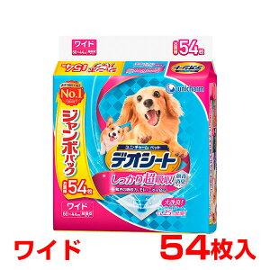 yő400~OFFN[|v擾&LINEǉ500~OFFIzfIV[g z  L 54 蒴z L^Cv Ch 4520699672143 #w-155134-00-00 pi gCpi