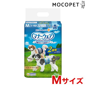 yLINEǉ500~OFFIzj`[ }i[EFA j̎qp TCY 42 MTCY `^p 4520699676226 #w-155157-00-00 pi gCpi }i[ o