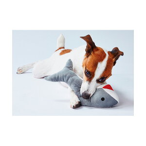 yő400~OFFN[|v擾&LINEǉ500~OFFIz[AhCg]Add.Mate ANACg T p  l` 4903588256196 #w-155442-00-00