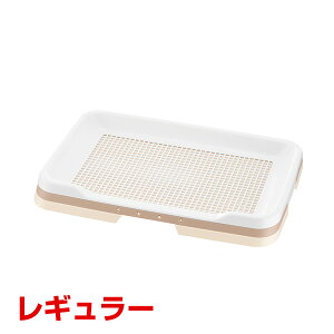 yLINEǉ500~OFFIz[b`F]Richell |ȒPXebvg[ AC{[ M[ / gC ybgV[c p 4973655599426 #w-155534-00-00