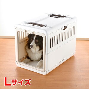 yLINEǉ500~OFFIz[b`F]Richell LsOL[܂肽 AC{[ LTCY  L ł ʉ@  4973655599389 #w-155542-00-00 hЃZbg