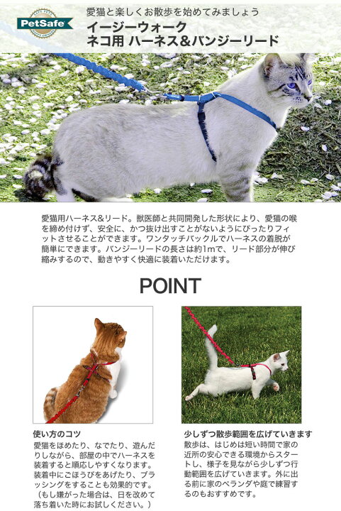 楽天市場 ペットセーフ Petsafe イージーウォーク 猫用 ハーネス バンジーリード Sサイズ 青 首輪 散歩 猫 ペット W 1575 00 00 モコペット