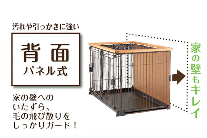 楽天市場】【LINE追加で500円OFF！】ボンビアルコン ダブルワン 
