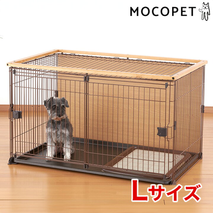 楽天市場】【LINE追加で500円OFF|お買い物が保護犬猫支援】ボンビ 