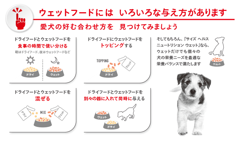 楽天市場】【あす楽】ロイヤルカナン ミニアダルト 85g / 小型犬の成犬 