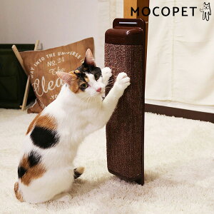 yLINEǉ200~OFFIz[LeB[}]CattyMan _[ nbXXNb`  ܂Ƃ 4976555879131 #w-164037-00-00