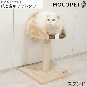 yLINEǉ500~OFFIz˂ ˂D܂Ƃ Lbg^[ X^h Lbg^[ 4981528847062 #w-165270-00-00