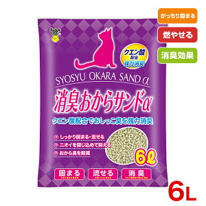 yLINEǉ500~OFFIz[X[p[Lbg]Super Cat LThNG_z 6L gC ̔L 4973640500673 #w-167449-00-00