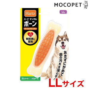 yő400~OFFN[|v擾LINEǉ500~OFFIz[n[c]Hartz f^{[ LLTCY  f^n 4562149053133 #w-168710-00-00