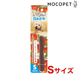 yő400~OFFN[|v擾LINEǉ500~OFFIz}J ݂ 񂲂̖ STCY  f^n 4906456573036 #w-171884-00-00