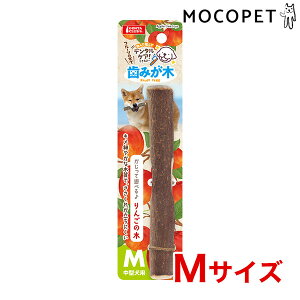 yő400~OFFN[|v擾LINEǉ500~OFFIz}J ݂ 񂲂̖ MTCY  f^n 4906456573043 #w-171885-00-00