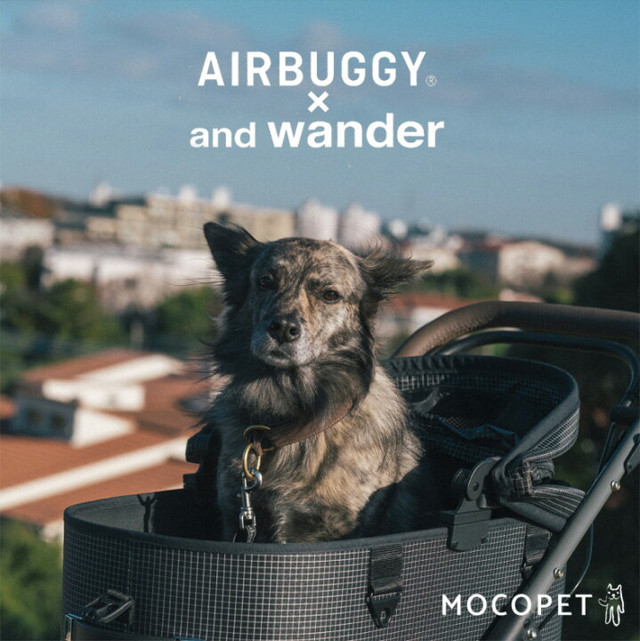 楽天市場】【LINE登録で200円クーポン！】【限定販売】AIRBUGGY×and 