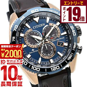 y2000~OFFN[|IGg[Ń|Cg19{I11/27 1܂ŁzV`Y v}X^[ PROMASTER LANDV[Y GREhCudgv _CNgtC Cal.E660 CB5039-11L Y