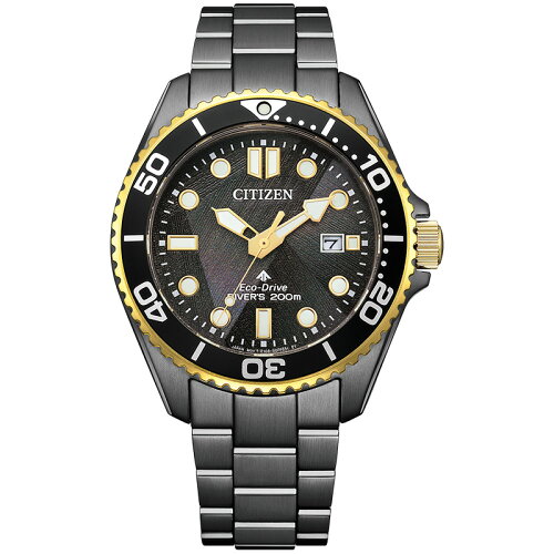 シチズンプロマスターCITIZENPROMASTERMARINEシリーズLIGHTinBLACKEco-Drive50thAnniversaryEdition世界限定6700本BN0264-53Eメンズ