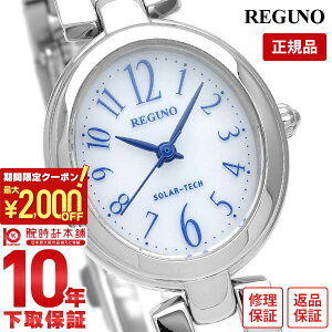 y2000~N[|I|Cgő52{I11/11 1܂ŁzV`Y Om REGUNO \[[ KP1-616-13 fB[X rv v