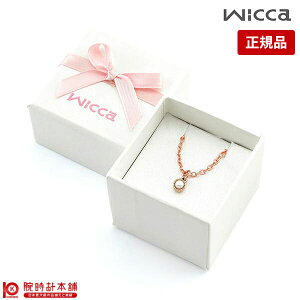 V`Y EBbJ wicca `[ P-399-03900 fB[X