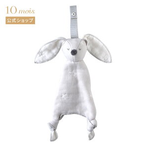 Si|Cg5{I420:00`111:59 y10mois z10mois fB O[ mini me xr[gC ӂӂK[[(6dK[[) [{ hJΏ t@[XggC xr[J[gC Ԃ 