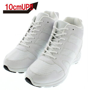 y10cmUPz+10cmUP V[NbgV[Y 10_sneaker_003 Xj[J[^Cv nCeNXj[J[X^C 10cmgȂ V[Nbgu[c V[Nbg Y zCg RC