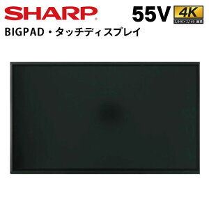 V[v ^b`fBXvC 4K BIG PAD PN-LM551 55C` | fW^TCl[W Ɩp dqŔ fBXvC TCl[W tfBXvC fW^ Ŕ Xܗp tpl j^[ t