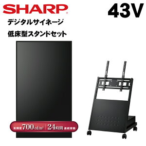 V[v fW^TCl[W 43C` PN-P436 Ᏸ^X^hZbg c@1[gKɑΉ PN-HS431p | Ɩp dqŔ fBXvC TCl[W tfBXvC fW^ Xܗp 