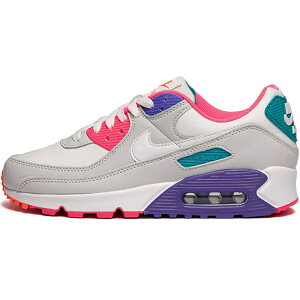 NIKE iCL WMNS AIR MAX 90 "PHOTON DUST" fB[XTCYf GA }bNX 90 "tHg _Xg" fB[X Y Xj[J[ PHOTON DUST/SUMMIT WHITE-HYPER GRAPE CZ1617-001yCOWJ {ׁz