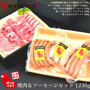 쐸X \[Z[W&ē Mtg 1.23kg (e҂EBi[ XgXuX @CX [X o [X ) ؂͂   QnY Xn