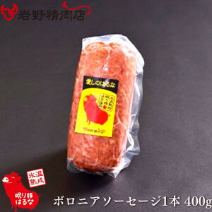 쐸X ؂͂100%   {jA\[Z[W 1{ 400g QnY Xn