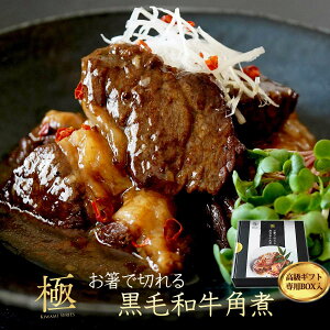 Ő؂ јa p 250giϔj y  p  y Mtg  䒆 Ε j v[g  Hו ̓ ̓ hV̓ z