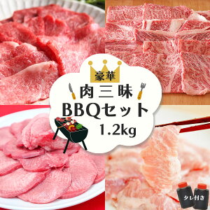  O BBQZbg 1.2kgy  ē BBQ јa a  [X ^ Jr gg ^ ēZbg  Mtg v[g Hו ̓ ̓ hV̓ z