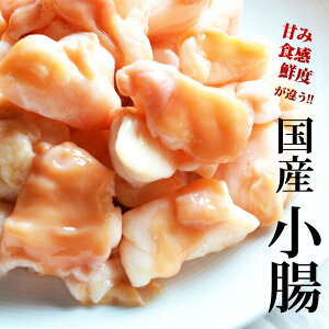 Y   K 1kgi200g×5)y  ē    Mtg av[g BBQ o[xL[ Lv z   Ă 񂹃O Hו Ⓚ ̓ 