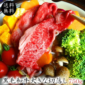 јa傫Ȑ؂藎Ƃ750gi250g×3jy   o  Mtg j v[g Hו ̓ ̓ hV̓ z