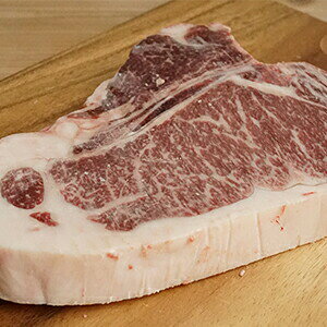 јaT{[Xe[LFi730gȏj sy    Mtg ē o[xL[ BBQ SĂ t a  av[g 񂹃O Hו   Y 蕨 Ⓚ 