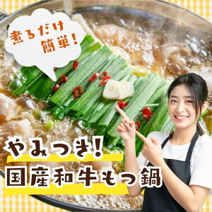 国産和牛 もつ鍋セット スープ付 【小腸1キロ (500gx2パック)スープ(100g×2パック)】 もつ鍋 焼肉 ホルモン おつまみ 具材 冷凍 和牛