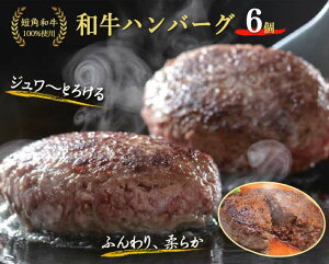 高級 肉 冷凍 レトルト 惣菜の人気商品 通販 価格比較 価格 Com 高級 肉 冷凍 レトルト 惣菜の人気商品 通販 価格比較 価格 Com