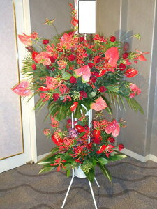 bhnLL@X^h2i@RT-ST2-2057@jEJXEaEEV[[Ef[Ȃǂ̌jɁISz\I15܂ł̂œzoGA܂Bi