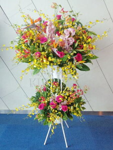 ؂ɂ܂I@X^h2i@RT-ST2-2048@jEJXEaEEV[[Ef[Ȃǂ̌jɁISz\I15܂ł̂œzoGA