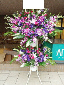 sNp[vn@X^h2i@RT-ST2-2089@jEJXEaEEV[[Ef[Ȃǂ̌jɁISz\I15܂ł̂œzoGA