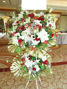 bhS[hzCgn@X^h2i@RT-ST2-2087@jEJXEaEEV[[Ef[Ȃǂ̌jɁISz\I15܂ł̂œzo