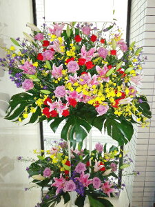 ܂@X^h2i@RT-ST2-2046@jEJXEaEEV[[Ef[Ȃǂ̌jɁISz\I15܂ł̂œzoGA܂Bi