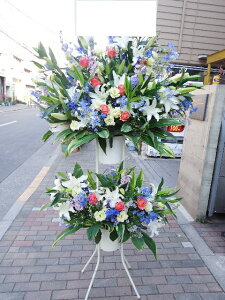 zCgu[sNn@X^h2i@RT-ST2-2079@jEJXEaEEV[[Ef[Ȃǂ̌jɁISz\I15܂ł̂œzoG