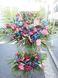 sNu[n@X^h2i@RT-ST2-2007@jEJXEaEEV[[Ef[Ȃǂ̌jɁISz\I15܂ł̂œzoGA