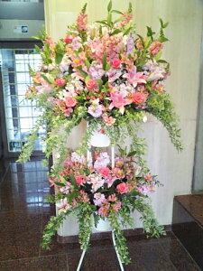 sNn@X^h2i@RT-ST2-2042@jEJXEaEEV[[Ef[Ȃǂ̌jɁISz\I15܂ł̂œzoGA܂Bi