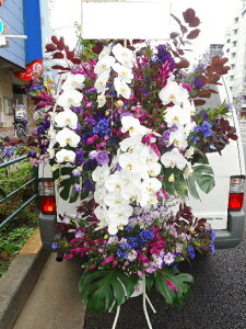 p[vnɌӒāBBB@X^h2i@RT-ST2-2001@jEJXEaEEV[[Ef[Ȃǂ̌jɁISz\I15܂ł̂œzo