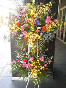 肨܂VIP@X^h2i@RT-ST2-2028@jEJXEaEEV[[Ef[Ȃǂ̌jɁISz\I15܂ł̂œzoGA