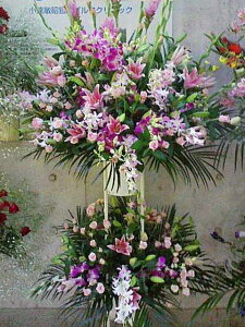 sNZW@X^h2i@RT-ST2-2050@jEJXEaEEV[[Ef[Ȃǂ̌jɁISz\I15܂ł̂œzoGA܂Bi