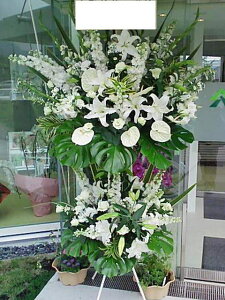 zCgnL@X^h2i@RT-ST2-2034@jEJXEaEEV[[Ef[Ȃǂ̌jɁISz\I15܂ł̂œzoGA܂Bi