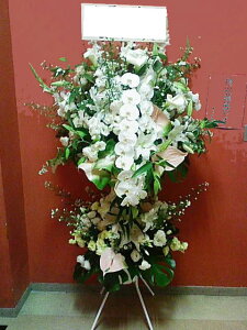 zCgn``@X^h2i@RT-ST2-2069@jEJXEaEEV[[Ef[Ȃǂ̌jɁISz\I15܂ł̂œzoGA